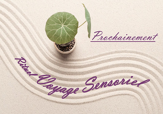 Massage rituel 'Voyage sensoriel'