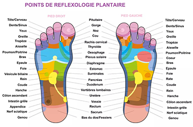 Massage intuitif du corps entier